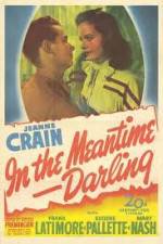 Watch In the Meantime Darling Zmovie