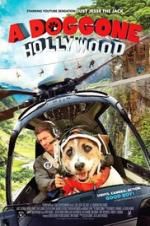 Watch A Doggone Hollywood Zmovie