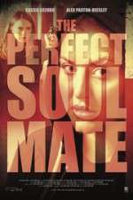 Watch The Perfect Soulmate Zmovie