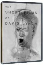 Watch The Short Films of David Lynch Zmovie