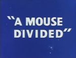 Watch A Mouse Divided (Short 1953) Zmovie