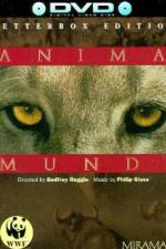 Watch Anima Mundi Zmovie