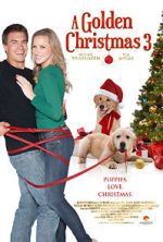 Watch A Golden Christmas 3 Zmovie