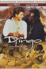 Watch Dingo Zmovie