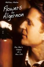 Watch Flowers for Algernon Zmovie