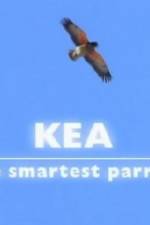 Watch Kea - The Smartest Parrot Zmovie
