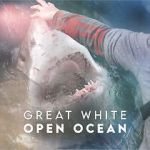 Watch Great White Open Ocean Zmovie