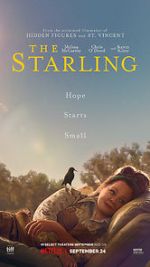 Watch The Starling Zmovie