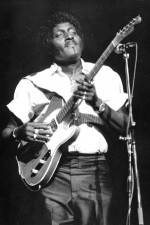 Watch Albert Collins in Concert Zmovie