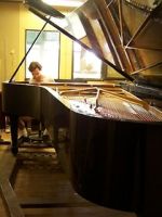 Watch Note by Note: The Making of Steinway L1037 Zmovie