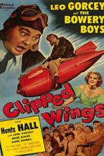 Watch Clipped Wings Zmovie