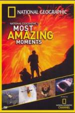 Watch National Geographics Most Amazing Moments Zmovie