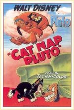 Watch Cat Nap Pluto Zmovie