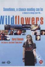 Watch Wildflowers Zmovie