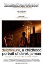 Watch Delphinium: A Childhood Portrait of Derek Jarman Zmovie