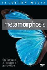 Watch Metamorphosis: The Beauty and Design of Butterflies Zmovie