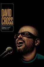 Watch David Cross Bigger & Blackerer Zmovie