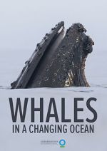 Watch Whales in a Changing Ocean (Short 2021) Zmovie