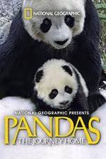 Watch Pandas: The Journey Home Zmovie