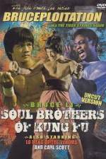 Watch Soul Brothers of Kung Fu Zmovie