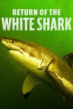 Watch Return of the White Shark Zmovie