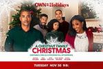 Watch A Chestnut Family Christmas Zmovie