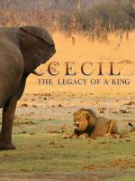 Watch Cecil: The Legacy of a King Zmovie