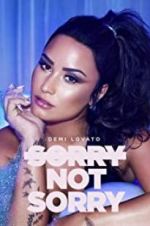 Watch Demi Lovato: Sorry Not Sorry Zmovie