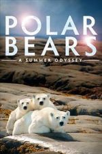 Watch Polar Bears: A Summer Odyssey Zmovie