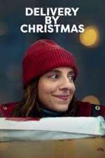 Watch Delivery by Christmas Zmovie