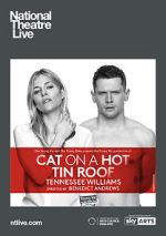 Watch Cat on a Hot Tin Roof Zmovie