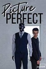 Watch Picture Perfect Zmovie