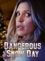 Watch Dangerous Snow Day Zmovie