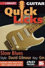 Watch Lick Library Quick Licks David Gilmour Zmovie