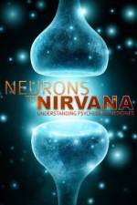 Watch Neurons to Nirvana Zmovie