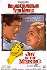 Watch Joy in the Morning Zmovie