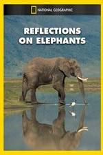 Watch Reflections on Elephants Zmovie