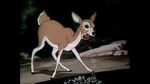 Watch Wacky Wildlife (Short 1940) Zmovie