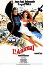 Watch Animal Zmovie