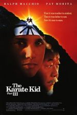 Watch The Karate Kid Part III Zmovie