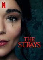 Watch The Strays Zmovie