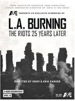 Watch L.A. Burning: The Riots 25 Years Later Zmovie