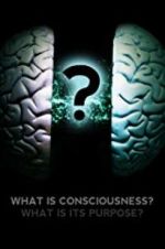 Watch What Is Consciousness? What Is Its Purpose? Zmovie