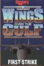 Watch Wings Over the Gulf Vol  1  First Strike Zmovie