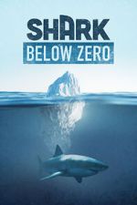 Watch Shark Below Zero Zmovie