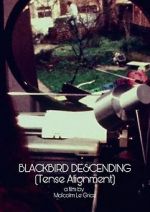 Watch Blackbird Descending Zmovie