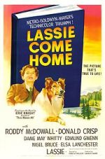 Watch Lassie Come Home Zmovie