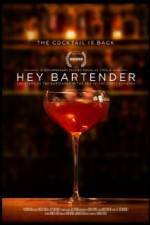 Watch Hey Bartender Zmovie