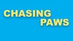 Watch Chasing Paws (Short 2020) Zmovie