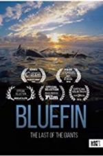 Watch Bluefin Zmovie